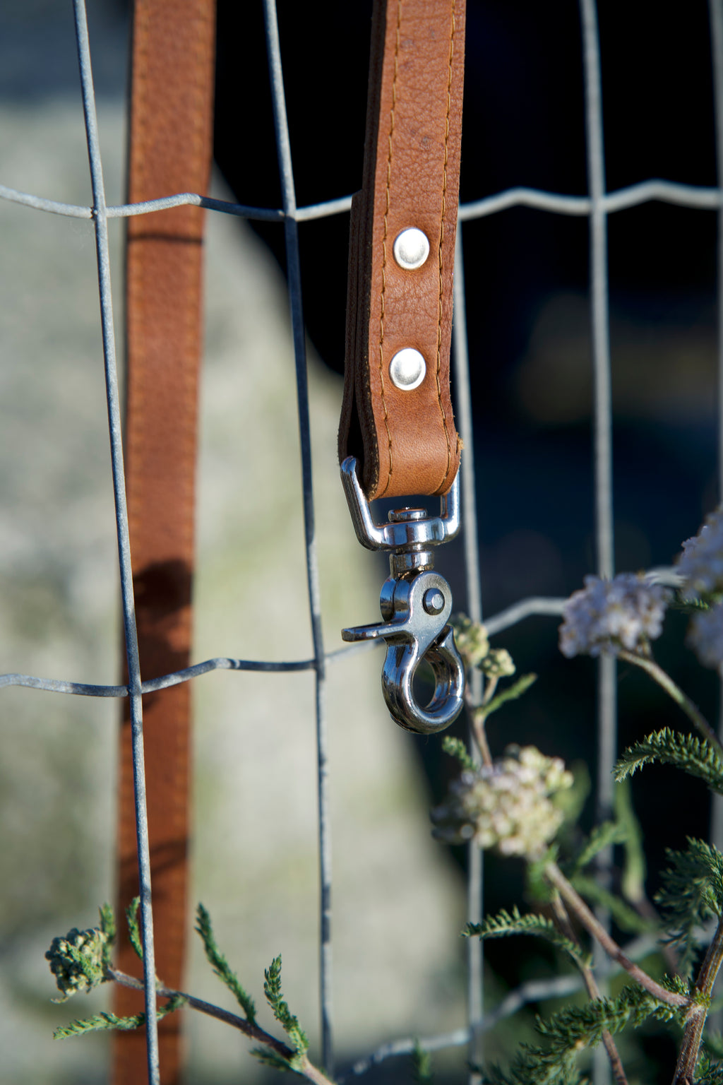 The Classic Leash