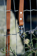 The Classic Leash