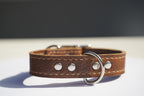 The Classic Collar