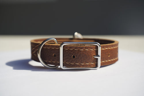 The Classic Collar