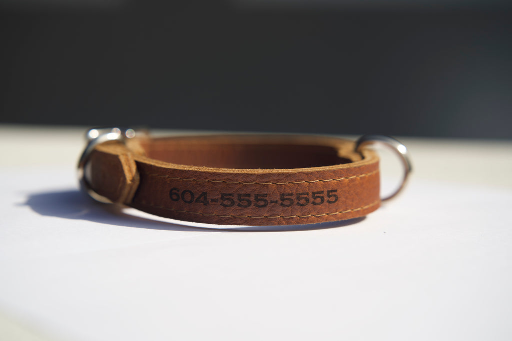 The Classic Collar