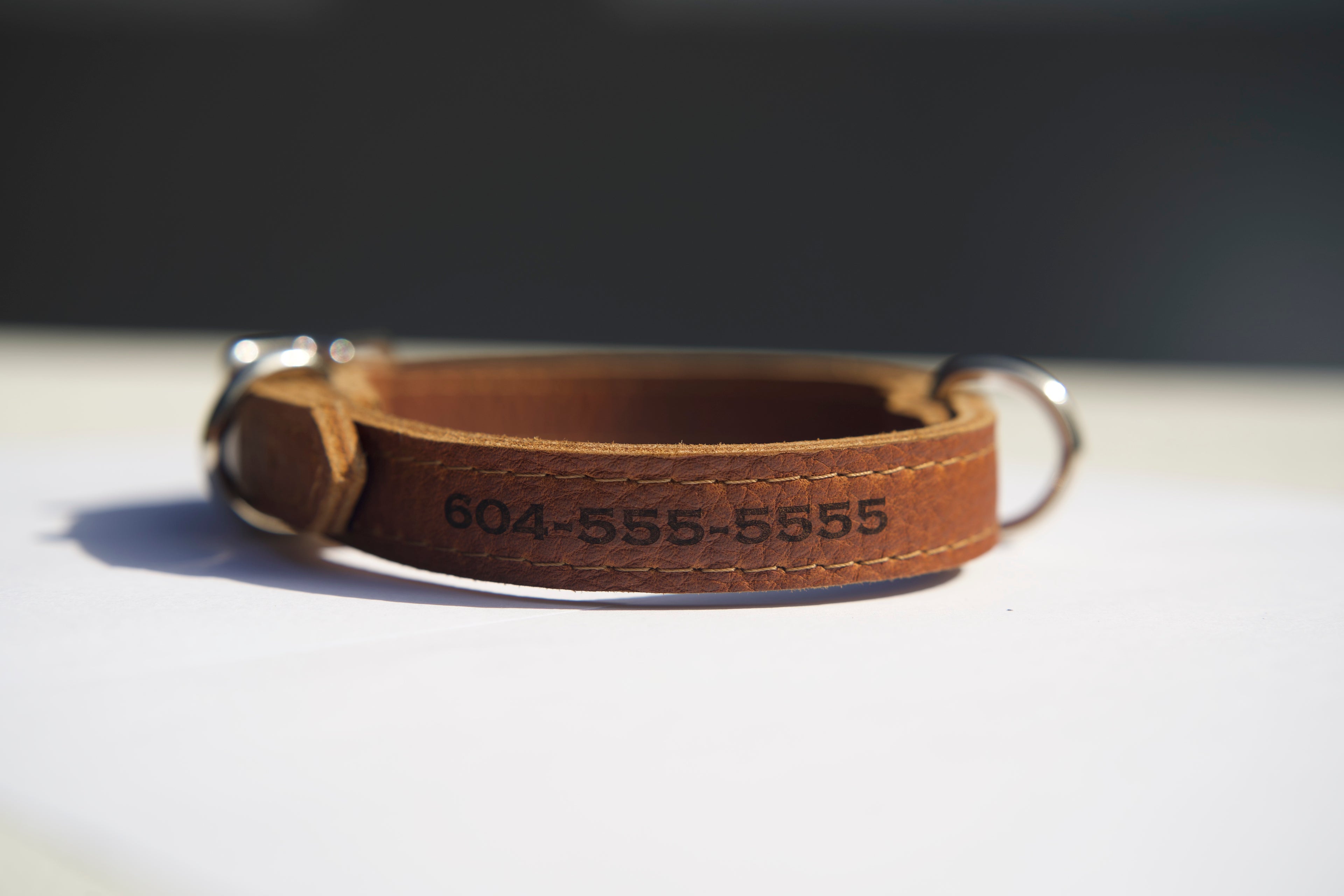 The Classic Collar