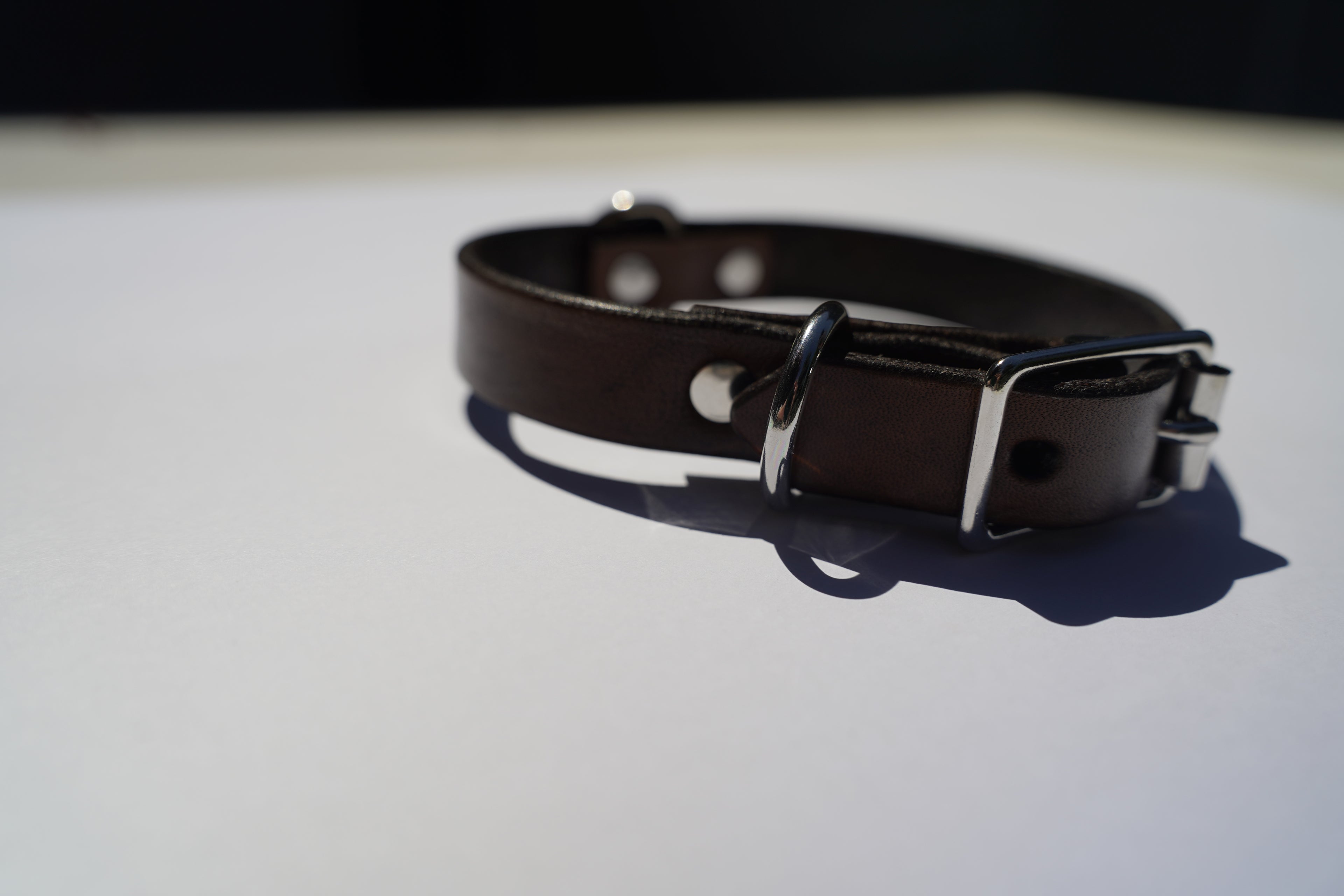 The Veg-tan Collar