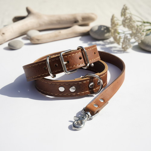 The Classic Bundle - collar and leash set